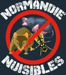 NORMANDIE NUISIBLES
